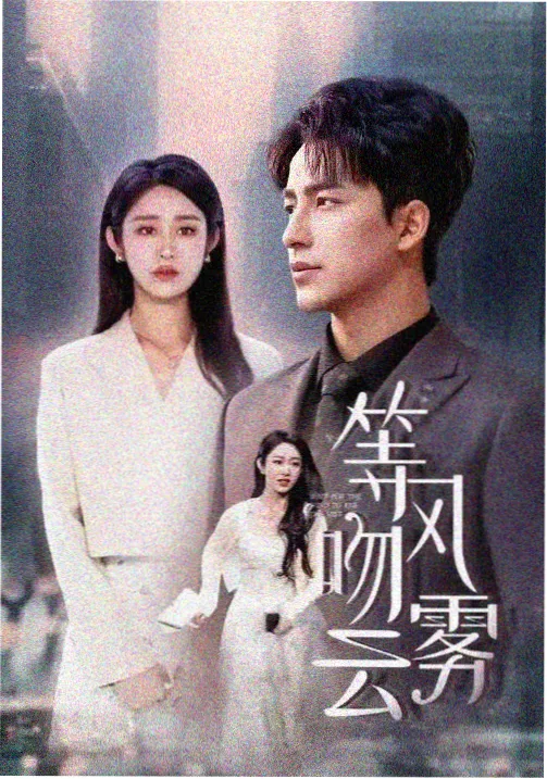 沉默证词 剧集海报